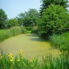 Smallhythe Place Garden