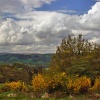 On the edge of Dartmoor