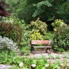 The bench by the herb garden.