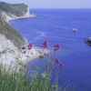 A view of Lulworth Cove