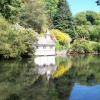 Reflections in a lake