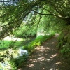 Shady lakeside walk at Trevarno Gardens, Cornwall