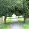 Painswick Churchyard