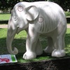 London Elephant Parade, St James's Park