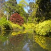 Leonardslee Lakes and Gardens