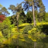 Leonardslee Lakes and Gardens