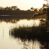 Setting sun, Calvert Jubilee Nature Reserve, Bucks.