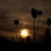 Sundown