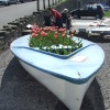Flowers in a Boat