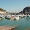 Ilfracombe Harbour