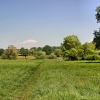 Stour Valley Summer