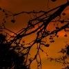 Evening time