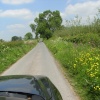 Herefordshire lane in June