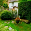 Little White Cottage