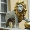 The White Lion