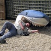 Sand shark attack