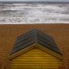 Looking out to sea