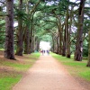 July 2010