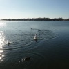 Tattershall Lakes Country Park