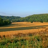 Stour Valley Summer