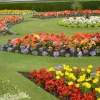 Mountstuart