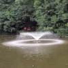 Newent lake and park