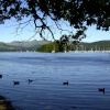 Windermere looking north on a summer afternoon.