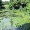 Japanese Garden