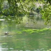 Otterhead lakes