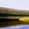 Dovestones.