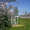 Birmingham Botanical Gardens in Bloom - Part 2
