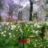 Birmingham Botanical Gardens in Bloom - Part 3