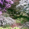 Birmingham Botanical Gardens in Bloom - Part 5