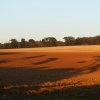 Rich earth