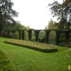 A hedge in the Museum gardens