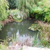 A pond in Brampton