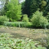 Furzey Gardens