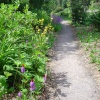 Furzey Gardens