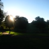Sunlight on a Path