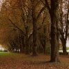 Autumn colour