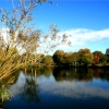 The Lake at Nidd. Autumn is starting to show its colours.