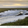 Marshes