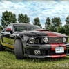 Mustang