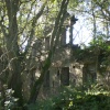 Griffe Mill