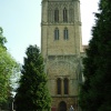 Abbey Church and fir trees in Pershore