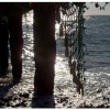 Groynes Cooden Beach