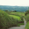 Country road outside Crediton