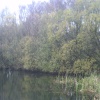 A lakeside scene