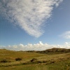 Braunton Burrows