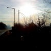 Mid morning on Jaywick Lane in November 2010